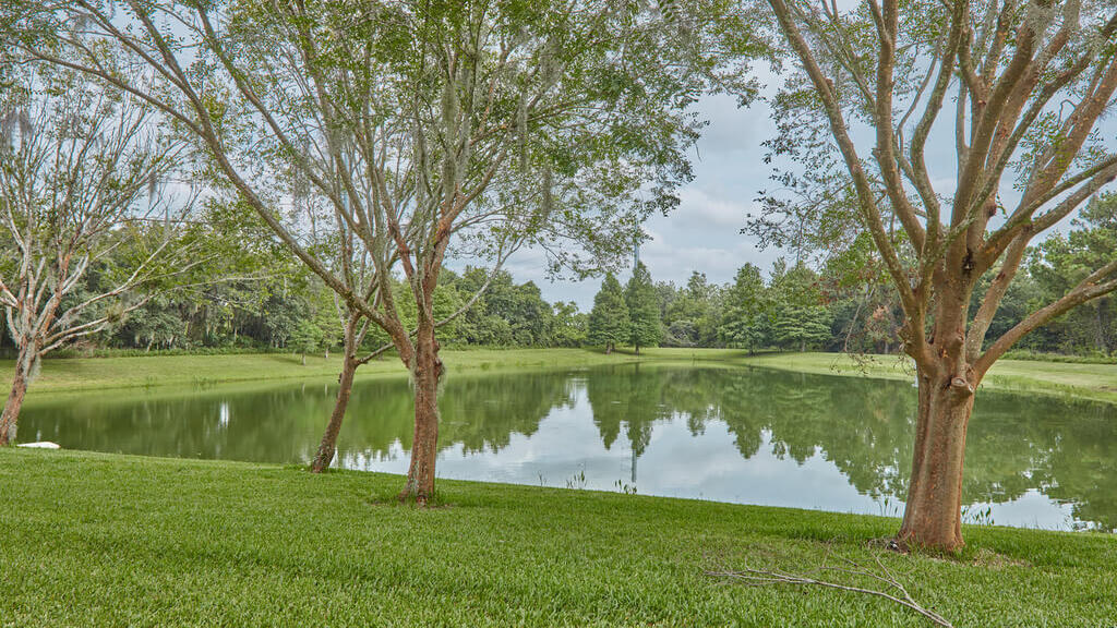 View from the patio - watch the Florida wildlife
